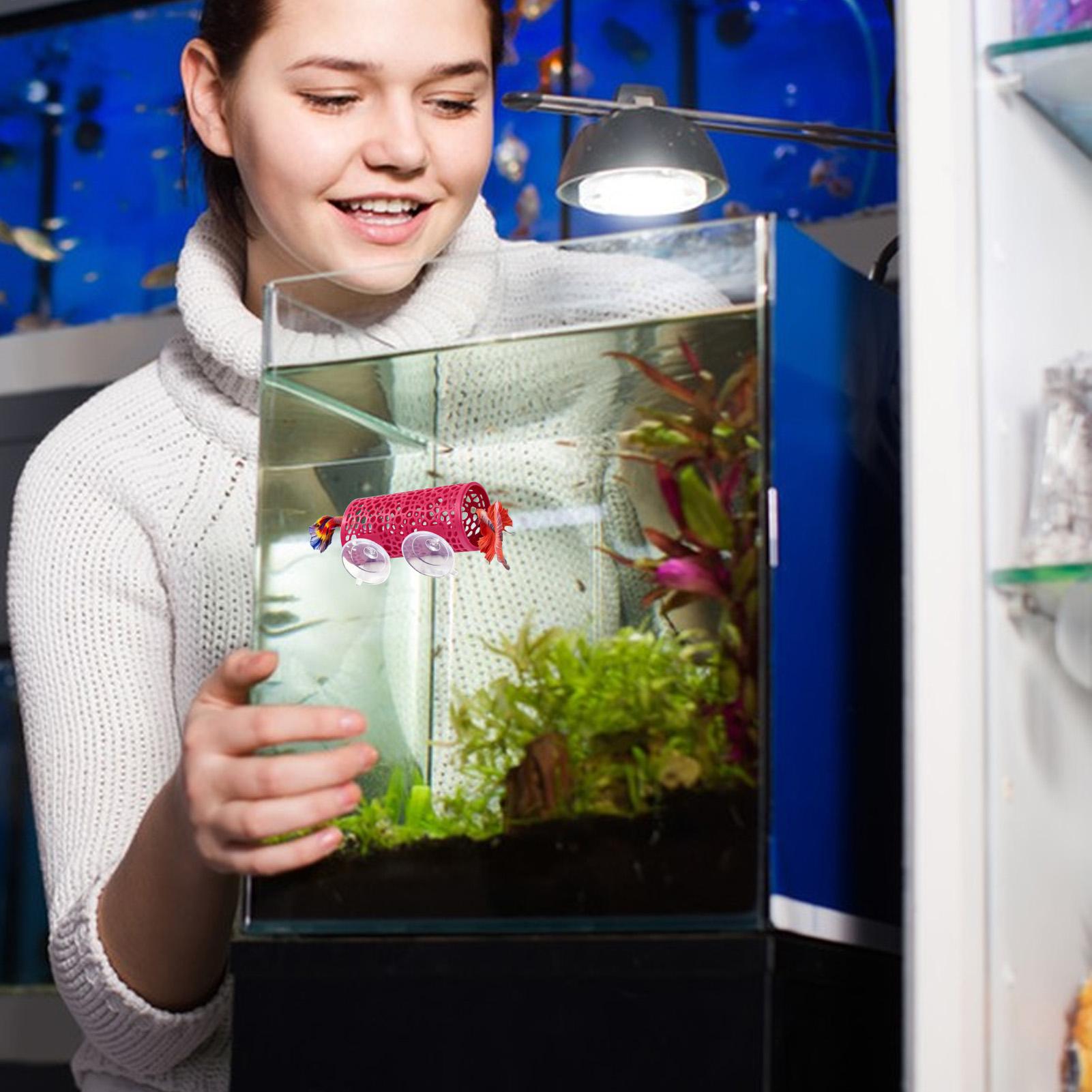 Aquarium Fish Betta - Abrigo de Descanso para Bettas, Ornamento