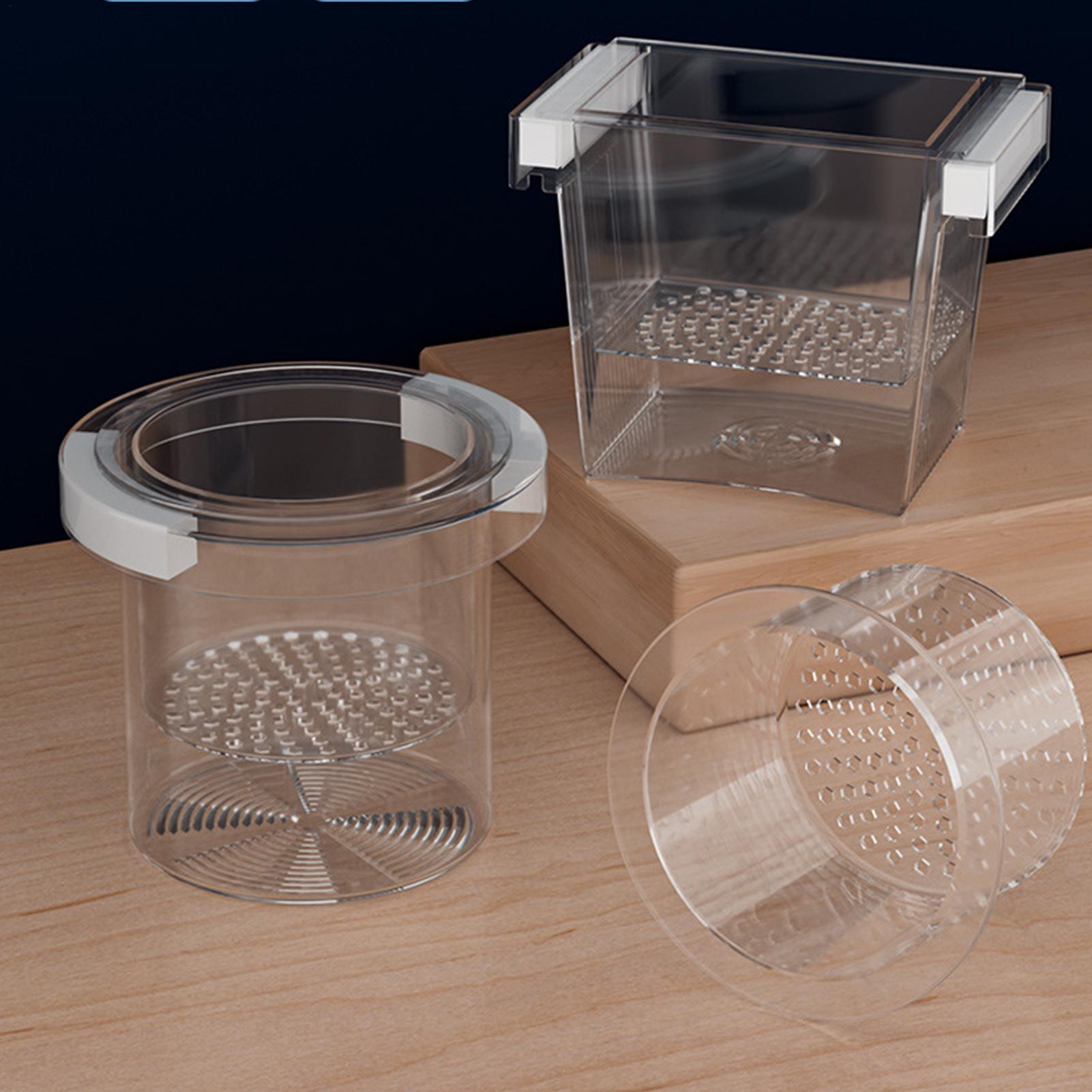 Aquarium Fish Betta - Caixa de Isolamento para Criação de
