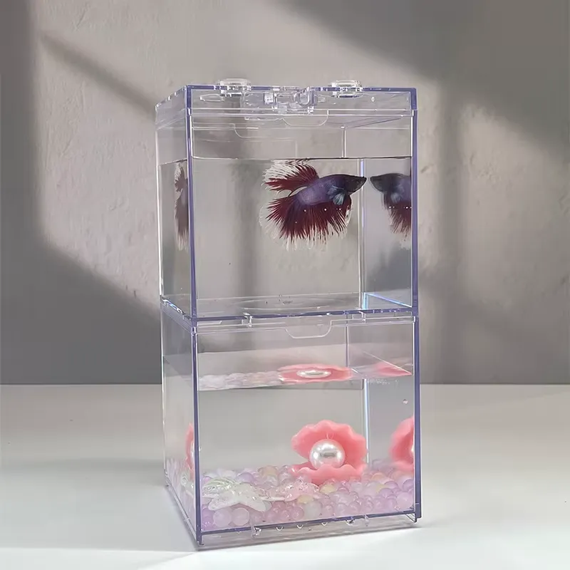 Box Fish In Aquarium - Mini Aquário Relaxlines para Decoração de