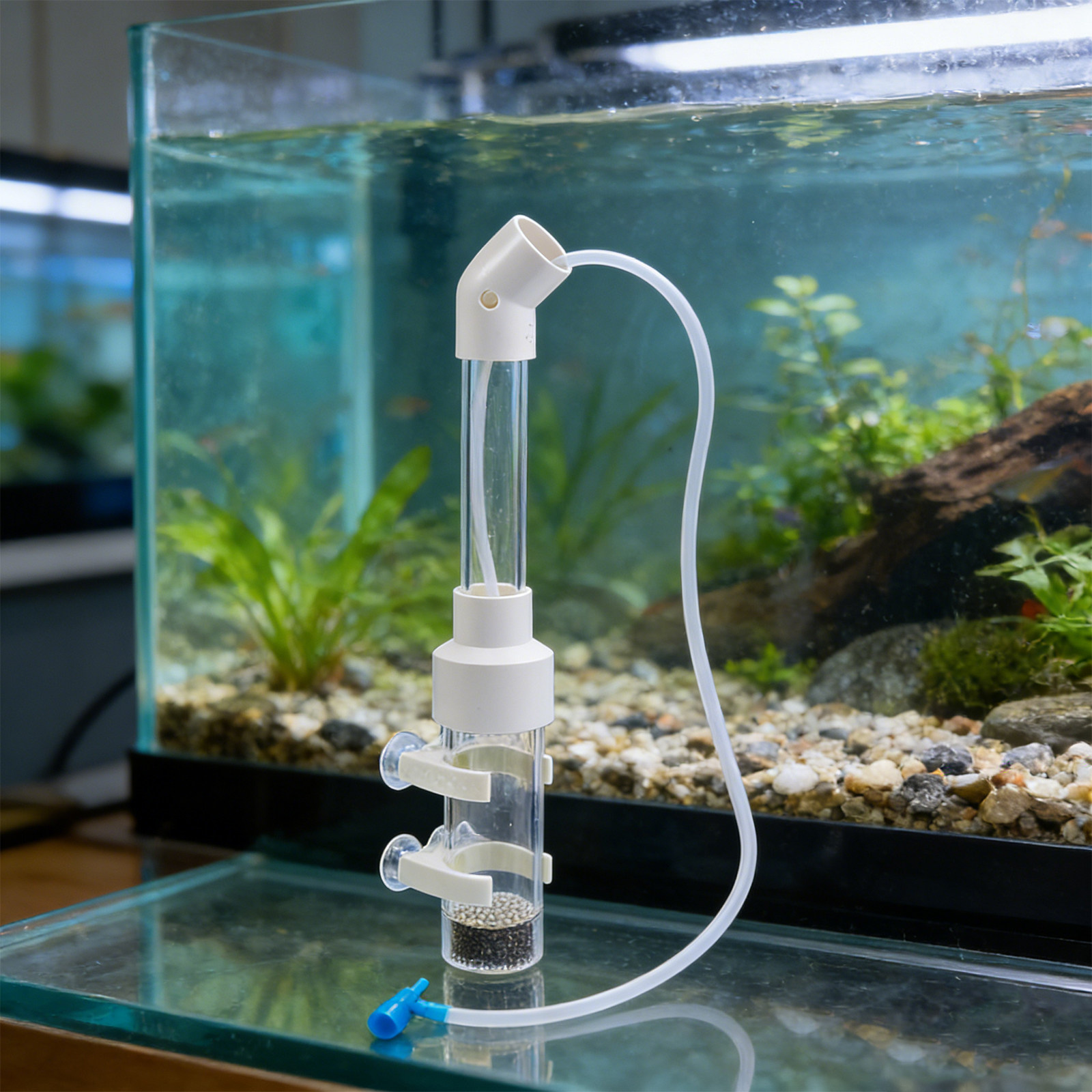 Box Fish In Aquarium - 2 conjuntos de kit incubador de