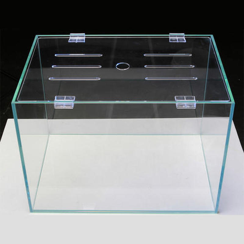 Aquarium Fish Elevator - 4 pçs 6mm/8mm/10mm clipes acrílicos do