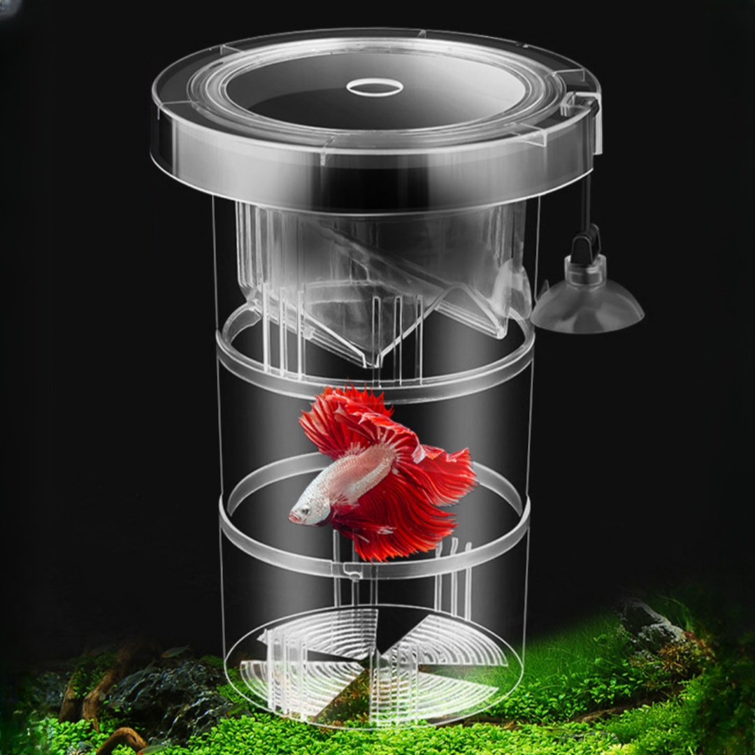 Box Fish In Aquarium - Acrílico flutuante caixa de isolamento de