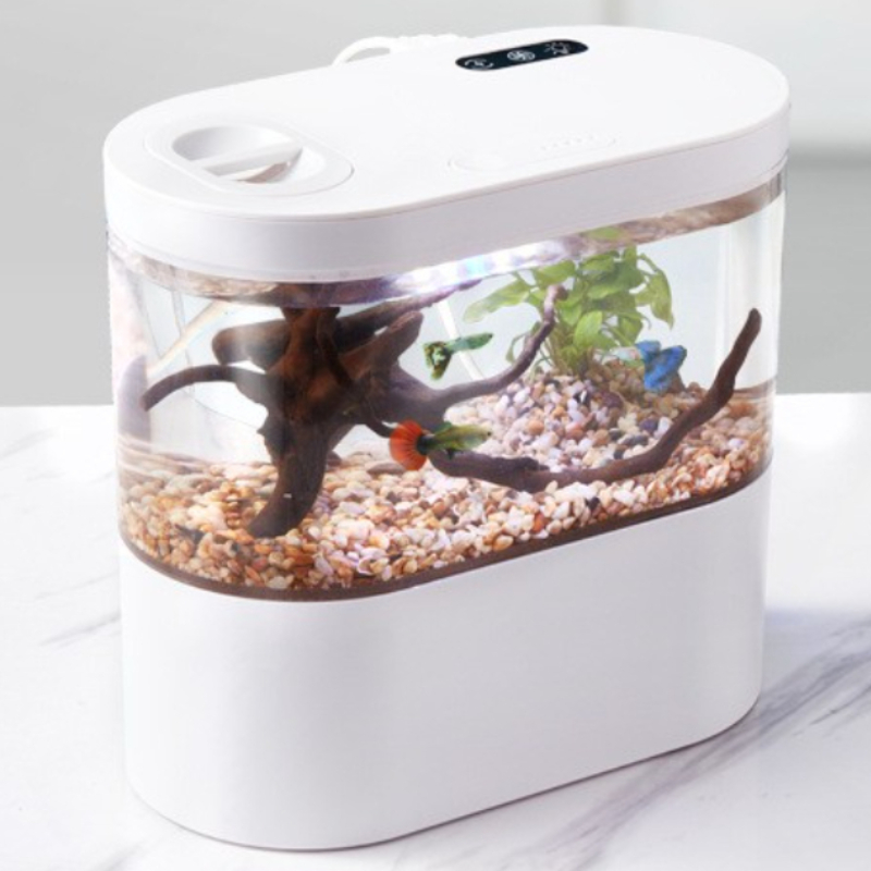 Aquarium Fish Betta - Aquário Mini Criativo para Mesa com
