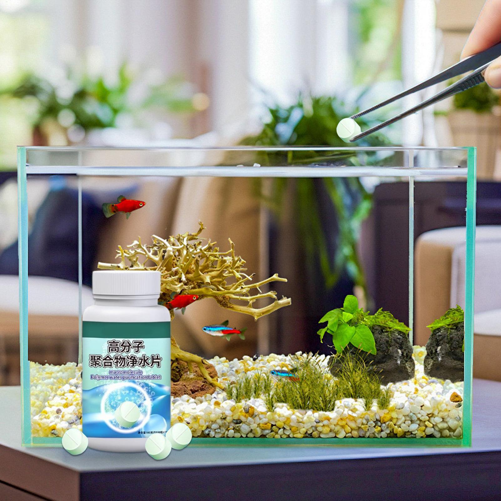 Removedor de Algas para Aquári - Aquarium Fish Betta avaliação e preço