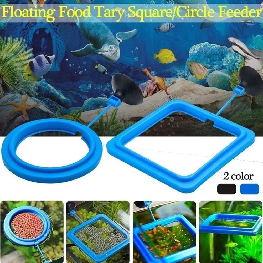 Anel de alimentação para peixe - Tetra Fish In Aquarium avaliação e preço