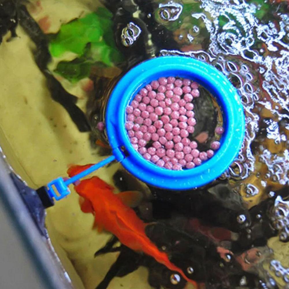 Anel de alimentação para peixe - Tetra Fish In Aquarium avaliação e preço