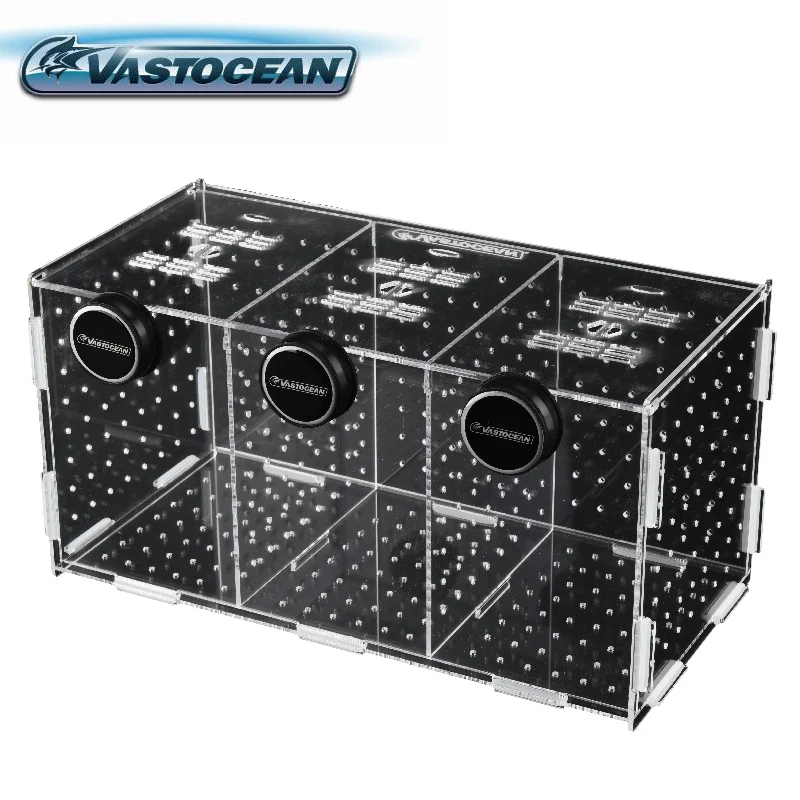 VASTOCEANO-Magnético Combinado - Box Fish In Aquarium avaliação e preço