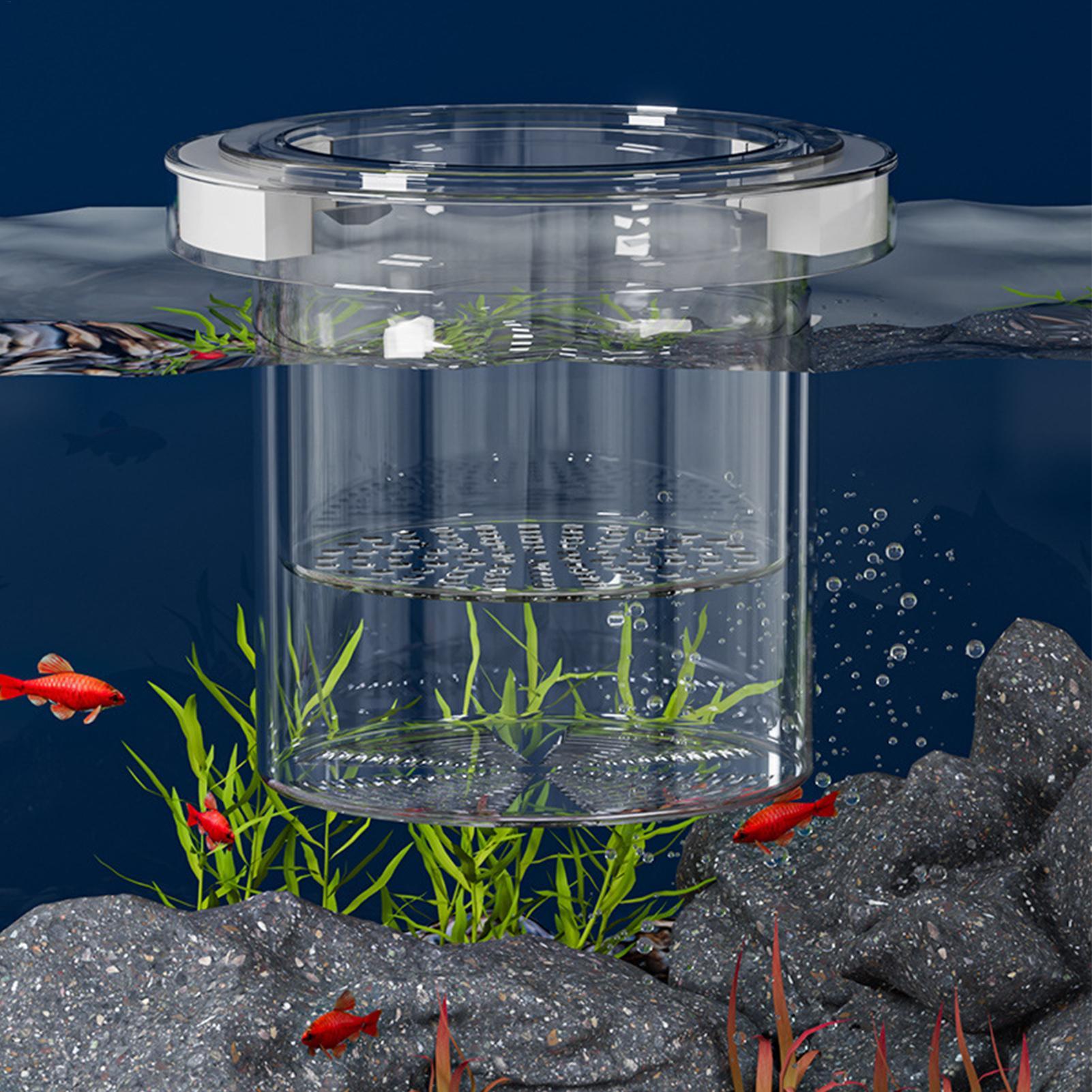 Caixa de Isolamento para Criaç - Aquarium Fish Betta avaliação e preço