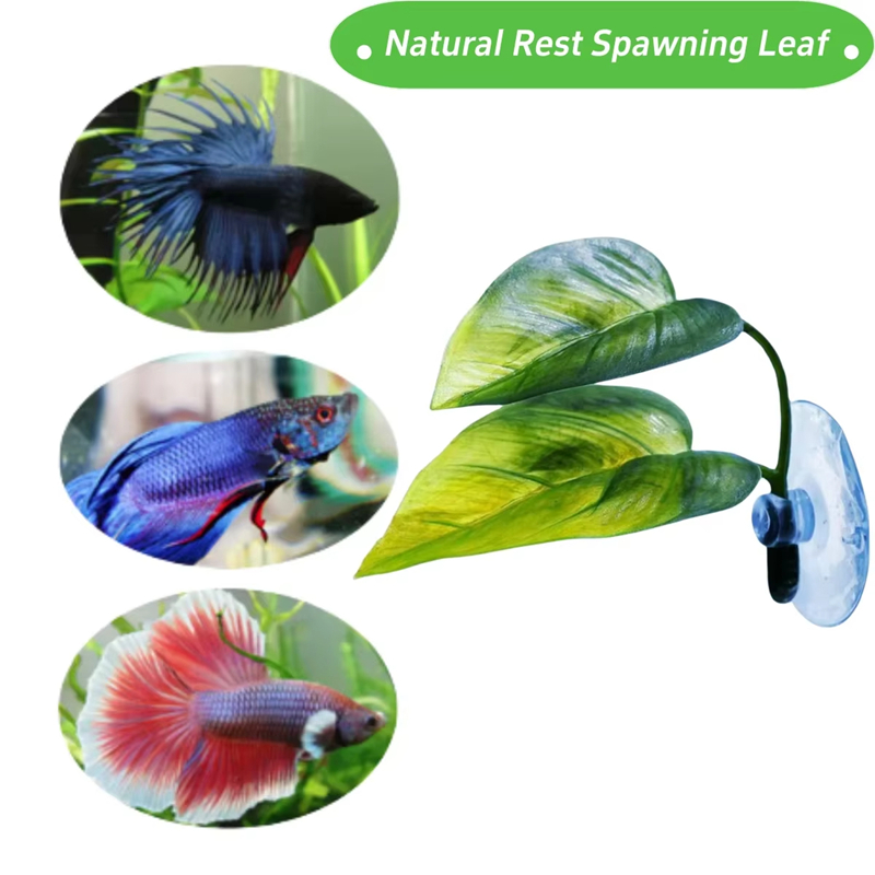 Decoração para Aquários e Supr - Aquarium Fish Betta avaliação e preço
