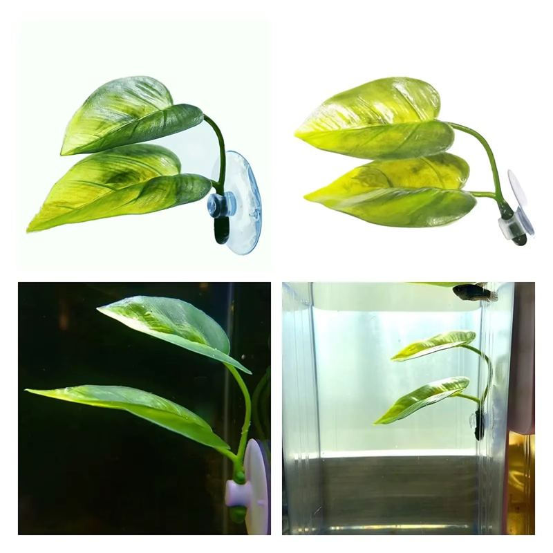 Decoração para Aquários e Supr - Aquarium Fish Betta avaliação e preço