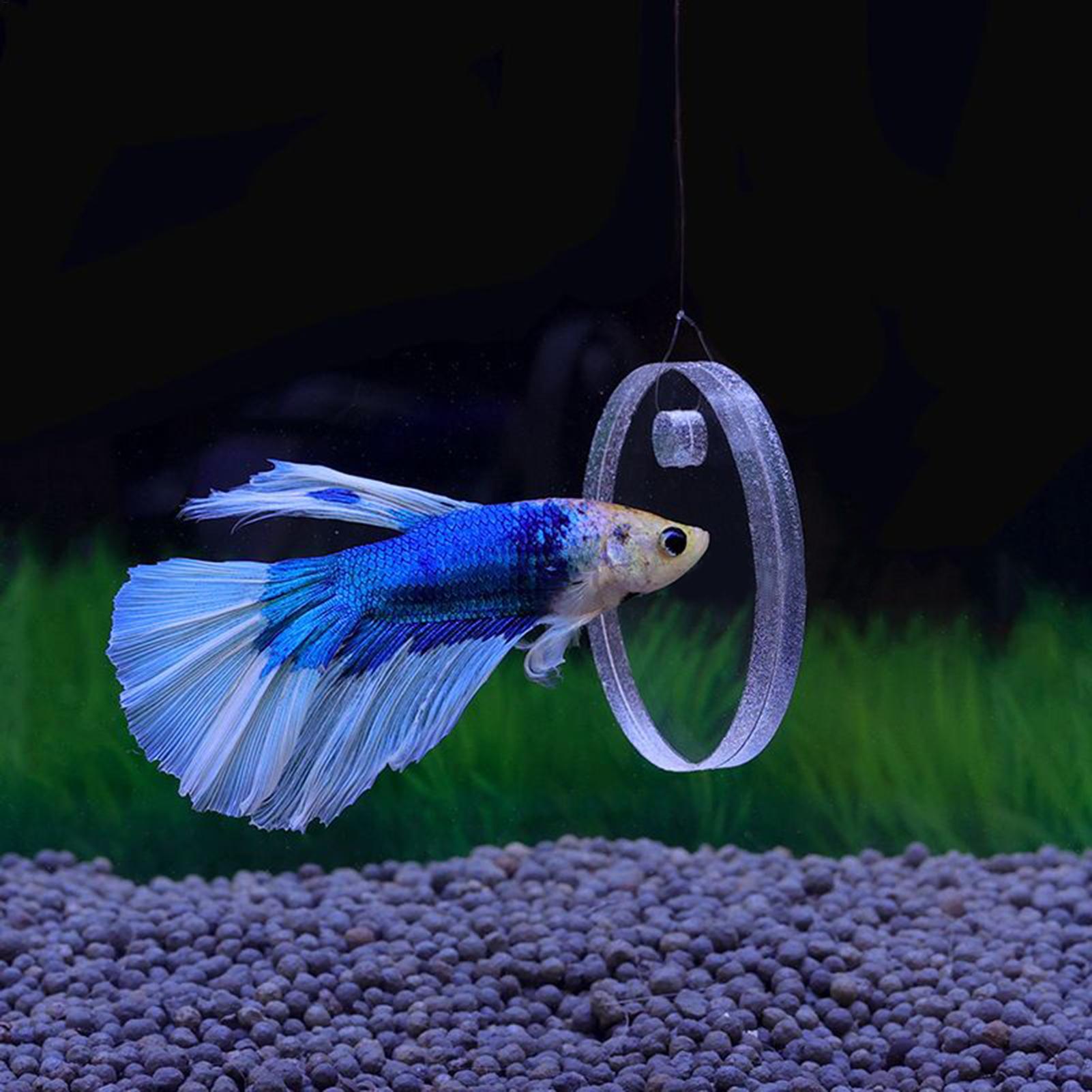 2 Peças Anel Flutuante para Al - Aquarium Fish Betta avaliação e preço