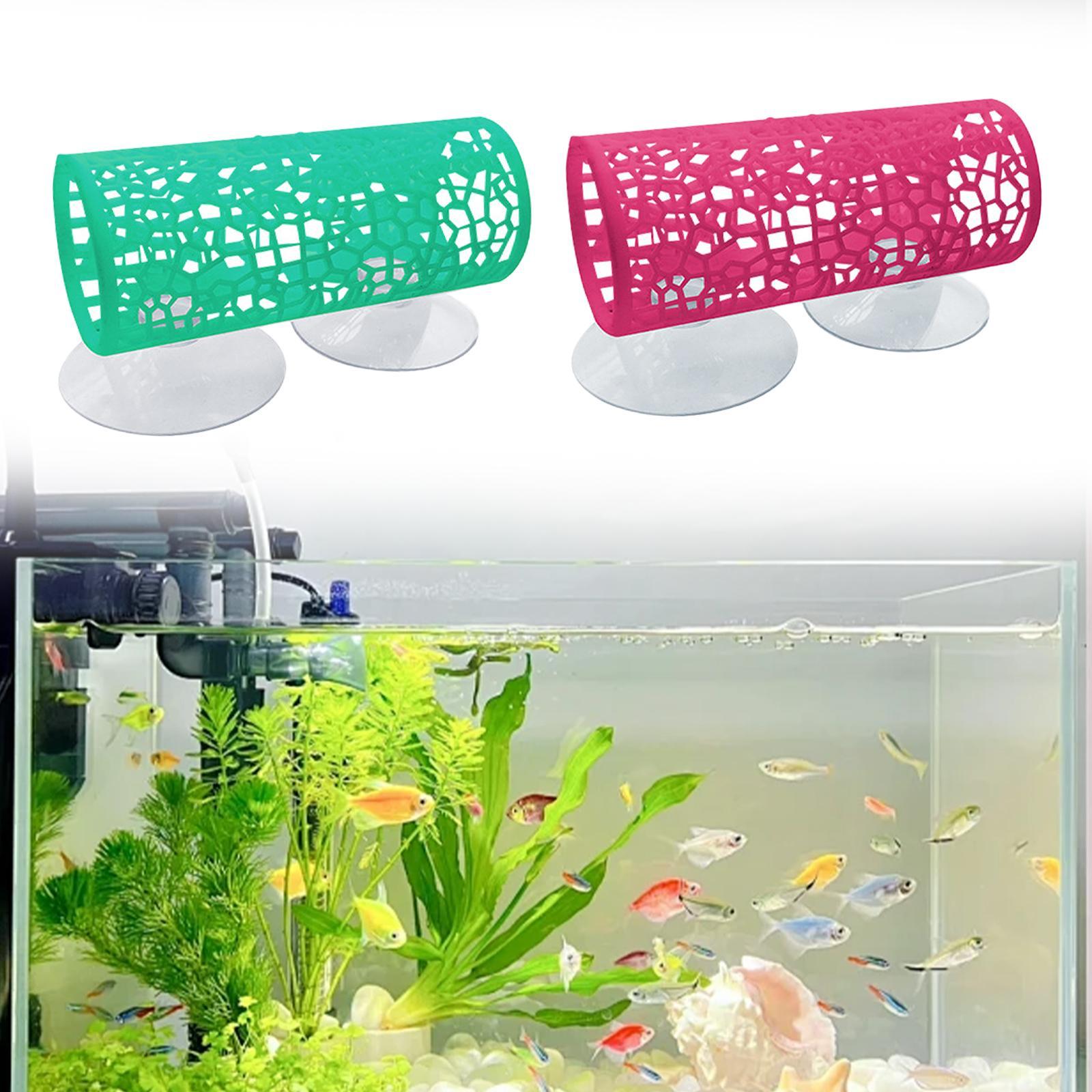 Túnel para Betta - Esconderijo - Aquarium Fisch avaliação e preço