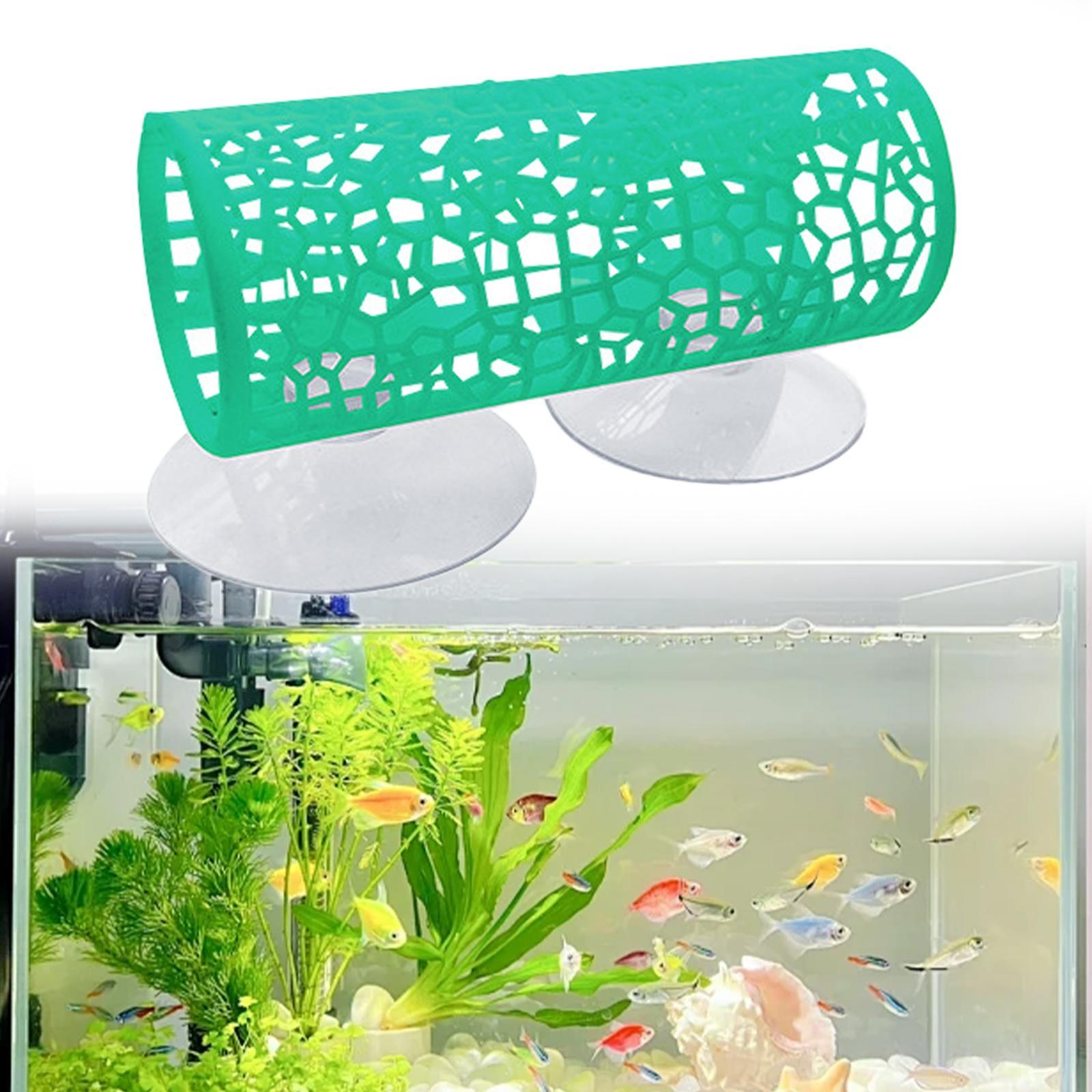 Túnel para Betta - Esconderijo - Aquarium Fisch avaliação e preço