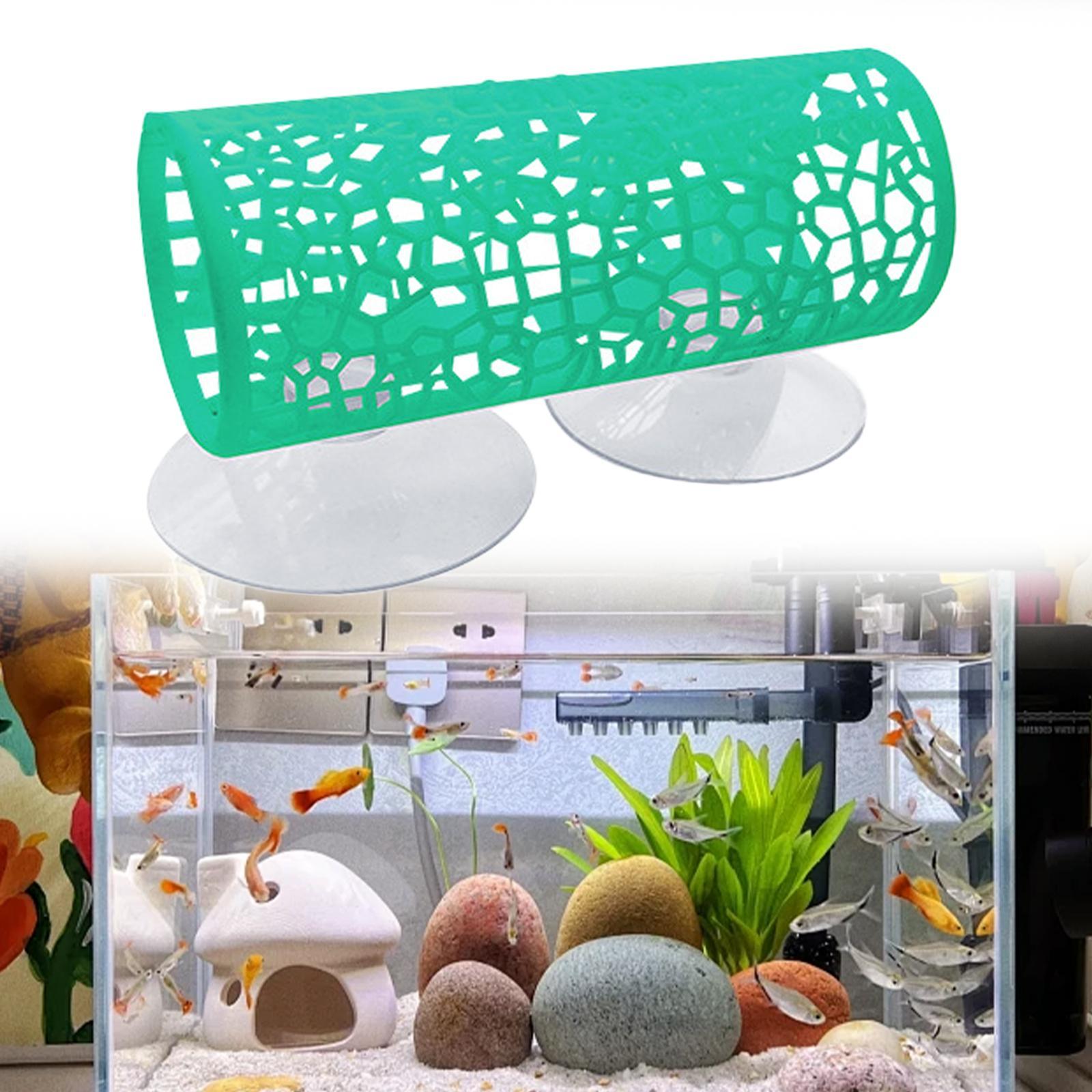 Túnel para Betta - Esconderijo - Aquarium Fisch avaliação e preço