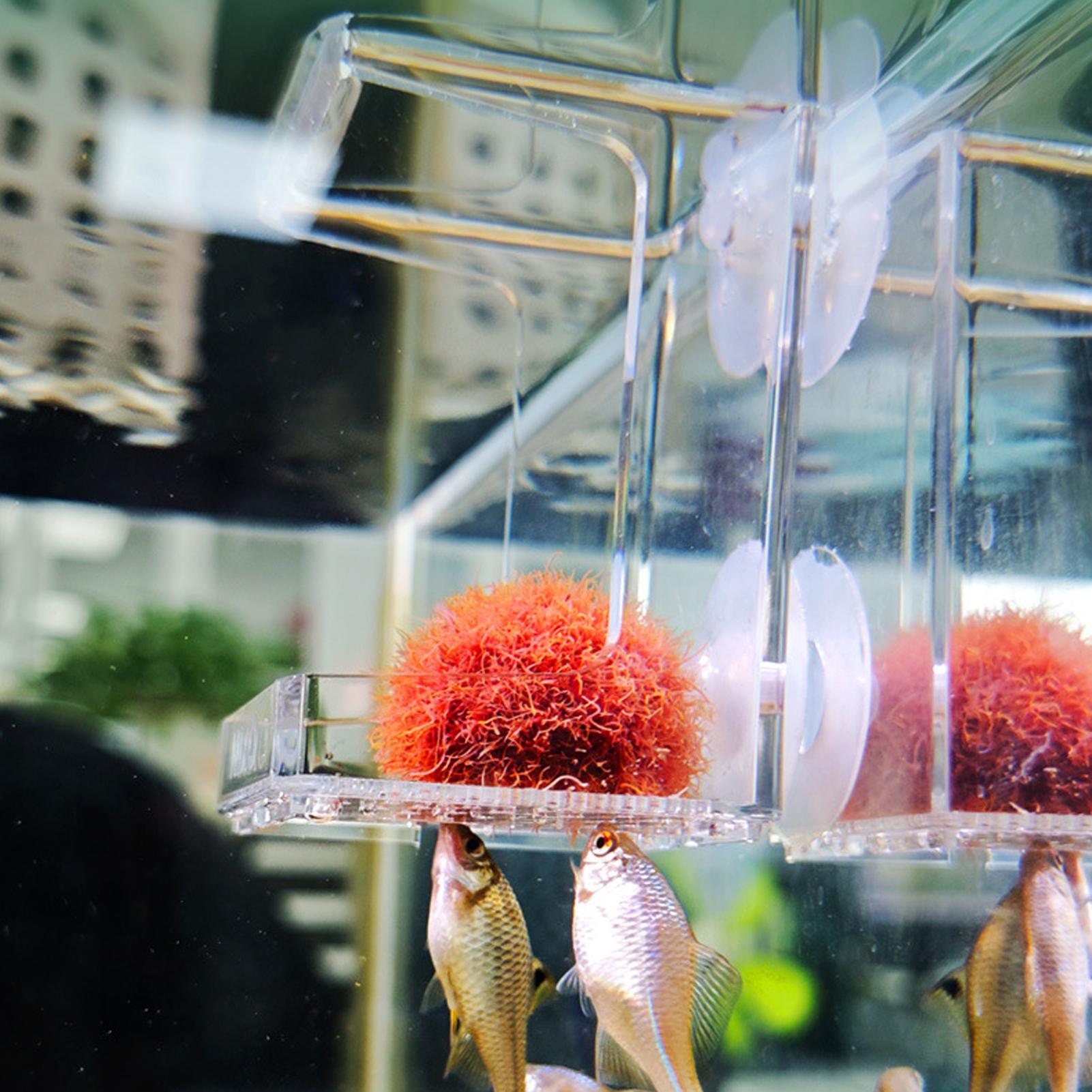 Comedouro para Aquário com Ven - Tetra Fish In Aquarium avaliação e preço