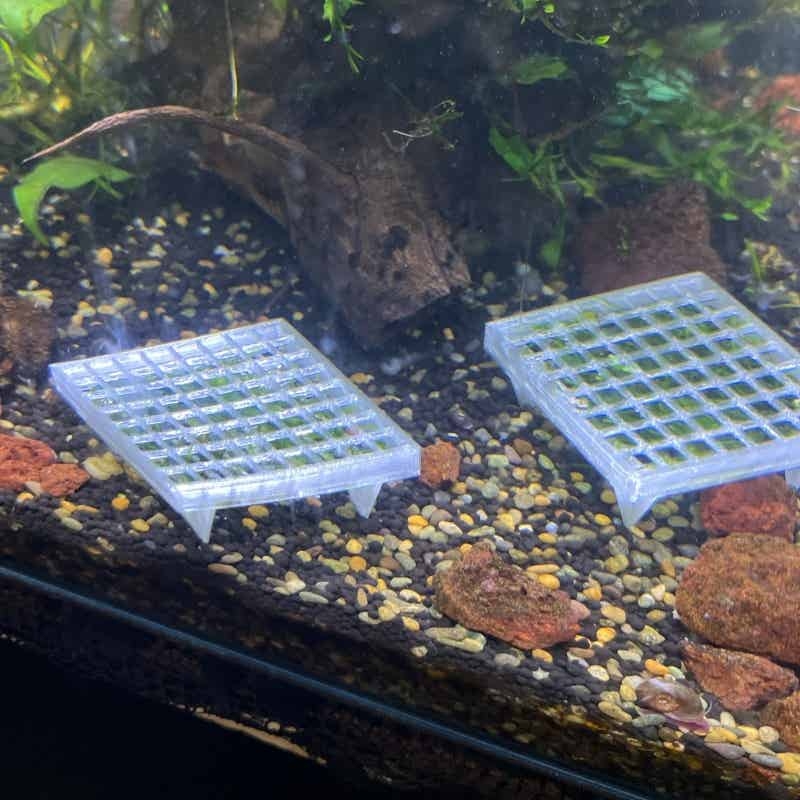 Suporte de Malha para Musgo de - Aquarium Fish Elevator avaliação e preço