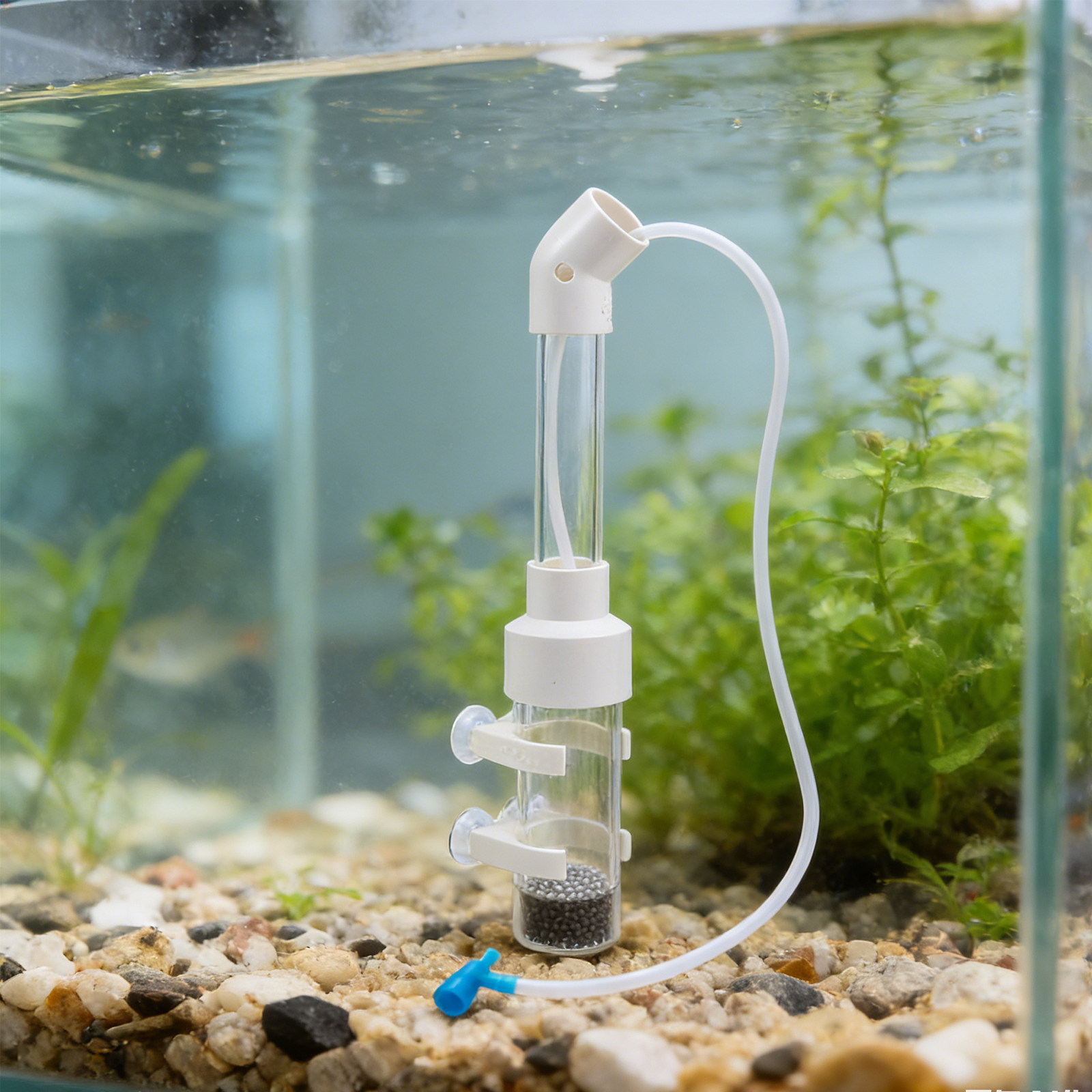 2 conjuntos de kit incubador d - Box Fish In Aquarium avaliação e preço