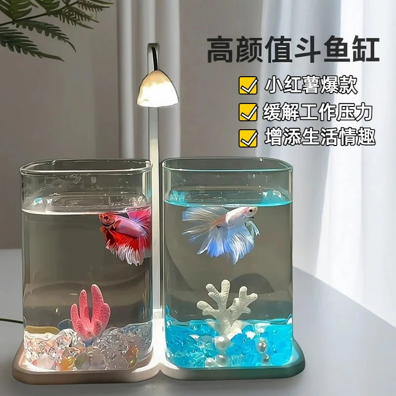 Mini tanque de vidro betta par - Aquarium Fish Betta avaliação e preço