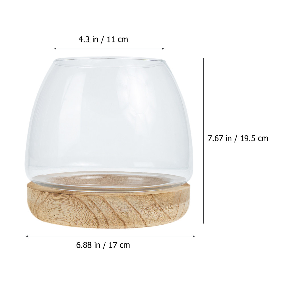 1 conjunto de terrário hidropô - Aquarium Fish Betta avaliação e preço